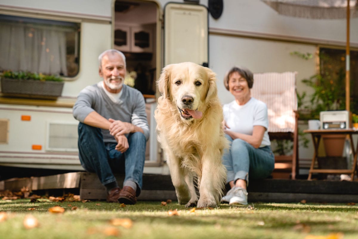 camping-mit-hund-web